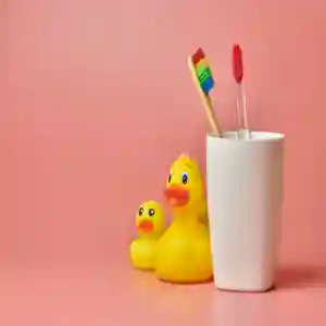 Twin Care Toothbrush Set